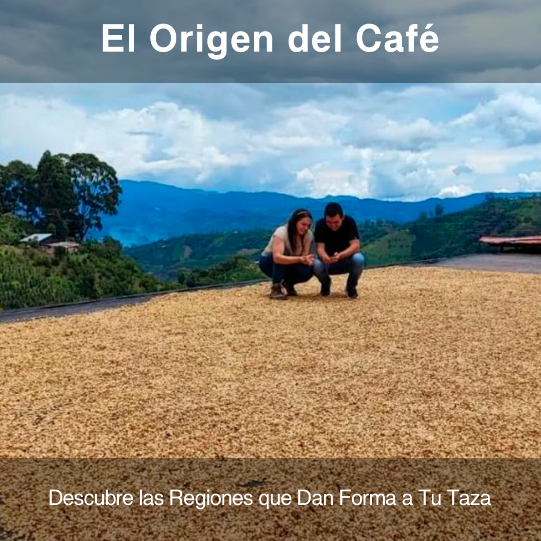 El Origen del Café: Descubre las Regiones que Dan Forma a Tu Taza