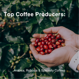 Los Principales Productores de Café en el Mundo: Un Análisis de la Producción de Café Arábica, Robusta y Cafés Especiales